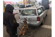 На волинському кордоні затримали автомобіль зі зброєю