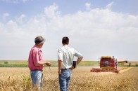 В Україні з'явиться ще одне нове свято