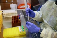 Спалах COVID-19 в Україні: відкрилася реальна ситуація, інфекціоністи пояснили різке зростання захворюваності