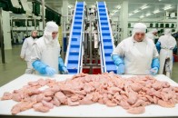 На скандальній волинській фабриці на COVID-19 захворіли 48 працівників, її можуть закрити