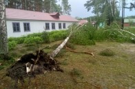 На Волині пронісся буревій: від негоди дерева повиривало з корінням (фото/відео)