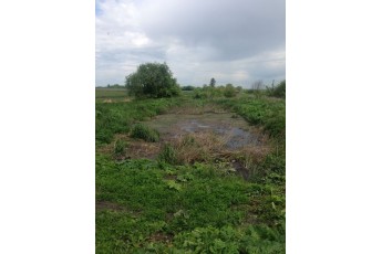 У селі під Луцьком каналізаційні нечистоти масово зливають на поля (фото)