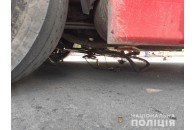 Повідомили деталі ДТП, у якій вантажівка переїхала чоловіка на Волині (фото)