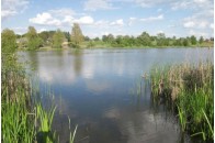 Кинулась рятувати коханого, знайшли мертвими обох: на водоймі трагічно загинула молода пара