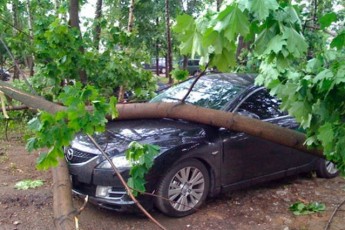 Негода на Волині: у області – затопило райони, а у Луцьку дерево впало на авто (фото)