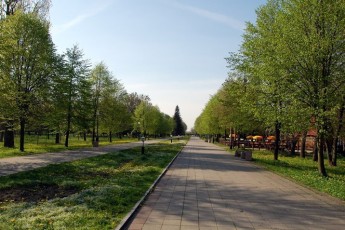 У луцькому парку 24-річний молодик на Mercedes їздив тротуаром (відео)