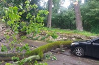 На Волині через сильний вітер декілька доріг заблоковані поваленими деревами