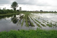 Волинян попереджають про підняття рівня води у річках