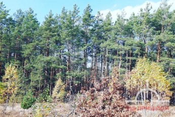 На Волині призначили керівників лісомисливських господарств