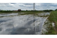Вода стоїть скрізь: жителі районів на Волині потерпають від підтоплення (відео)