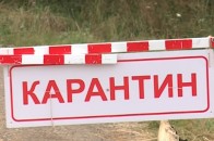 У Луцькому районі – карантин через небезпечного шкідника