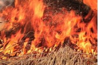 У селі на Волині через дитячі пустощі горіло сіно