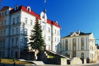 На заходи з профілактики поширення COVID-19 в Луцьку витратили майже 10 мільйонів