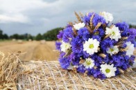 Вихідні у серпні: скільки відпочиватимуть українці в останній місяць літа