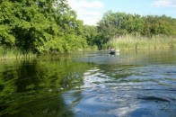 На Волині під час купання у водоймі чоловік отримав переломи та черепно-мозкову травму