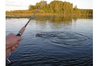 На Волині під час риболовлі вбило струмом молодого хлопця