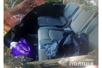 У Луцьку розшукали чоловіка, який пограбував автівку депутата міськради (фото)