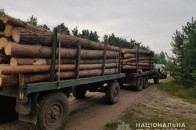 На Волині затримали вантажівку з незаконною деревиною