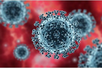 Вчені пояснили, як вологість повітря впливає на швидкість поширення коронавірусу