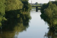 На Волині впало дерево і перекрило річку