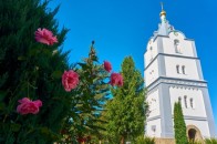 Волиняни мандрували історичними шляхами відомих князів (фото)