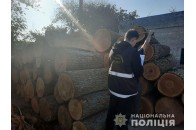 У Луцьку на підприємстві провели обшуки та вилучили незаконну деревину (фото)