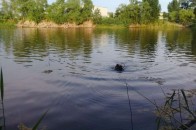В затопленому кар'єрі на трасі 