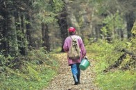 В лісі на Волині заблукала жінка