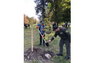 Літературні ясени: у парку Луцька висадили дерева (фото)