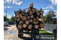 На Волині у водіїв вилучили трактор та вантажівку з незаконною деревиною