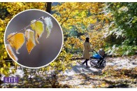 Вночі температура сильно впаде: синоптики налякали черговим похолоданням