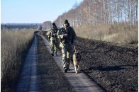 Волинянина, якого розшукували за шахрайсво та викрадення авто, затримали біля кордону з РФ