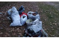 На Волині жінка з родиною прибирає ліс та пропонує запустити челендж (фото)