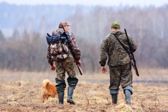До уваги мисливців: 1 листопада стартує сезон полювання на хутряних звірів