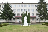 Очільник Луцького пологового будинку написав заяву на звільнення