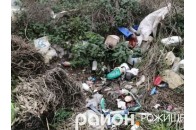 На Волині у смітті знайшли ікони