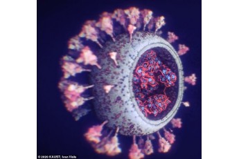 Світом шириться новий штам коронавірусу: його легше підчепити
