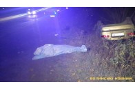 Злетів у кювет та перекинувся: у нічній ДТП загинув лучанин (деталі)