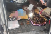У полі неподалік Луцька виявили автівку з бурштином