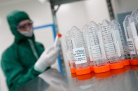 Коронавірус на Волині: повідомили статистику хвороби станом на 7 грудня