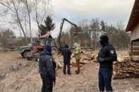 Головні новини Волині 7 грудня: у селі провели масові обшуки у незаконних лісорубів; в області від COVID-19 померли чоловік та жінка