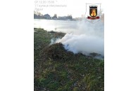 У Луцьку на території природно-заповідного фонду горіло зілля