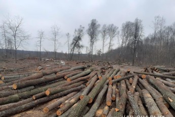 На Волині − знову обшуки у селах (фото, відео)