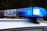 У Польщі автомобіль з українцями зіткнувся з дикою твариною: є потерпілий