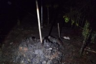 На Волині у лісі чоловік 