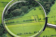 Вперше в Україні на продаж виставили золотоносну ділянку