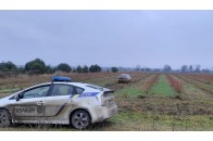 На Волині в учасника АТО обікрали плантацію лохини (відео)