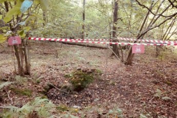 На Волині знешкодили знайдені у лісових масивах військові боєприпаси