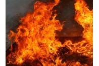 У луцької зоозахисниці горів будинок, врятували майже усіх тварин