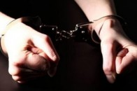 На Волині затримали злодіїв, які вчинили 11 крадіжок